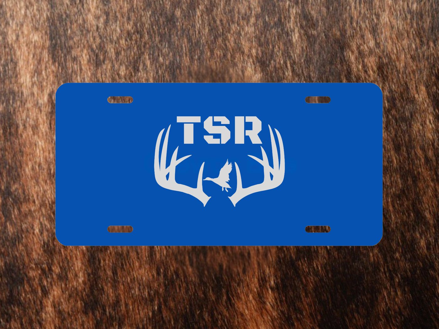 TSR License Plate